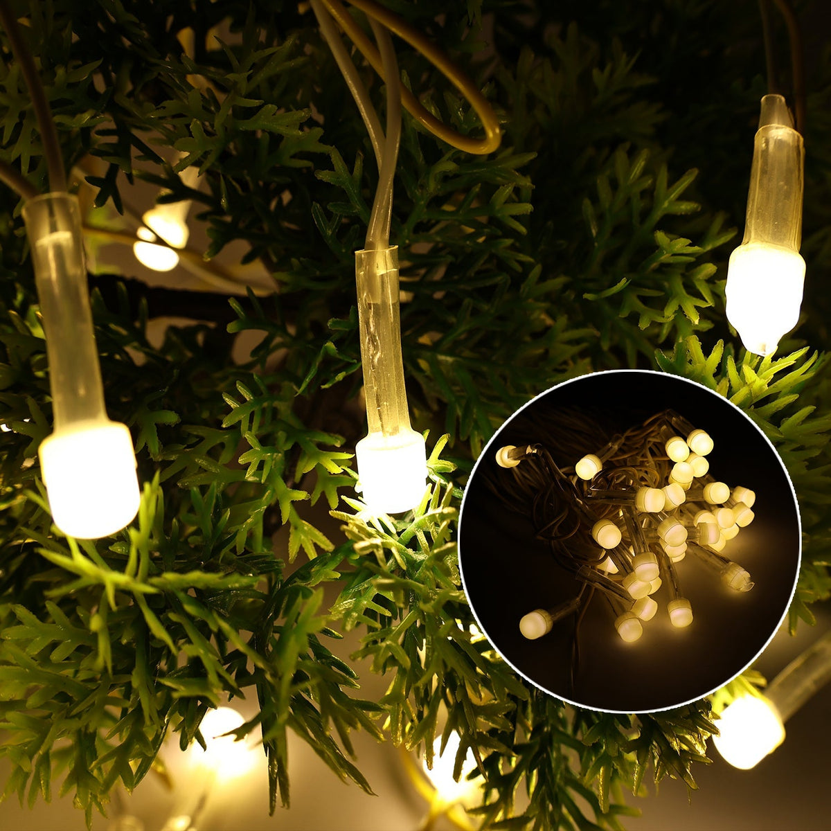 Multi-Color Decorative LED Lights