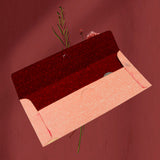 Cash Gift Cover, Multicolor Premium Envelope (10 Pcs Set)