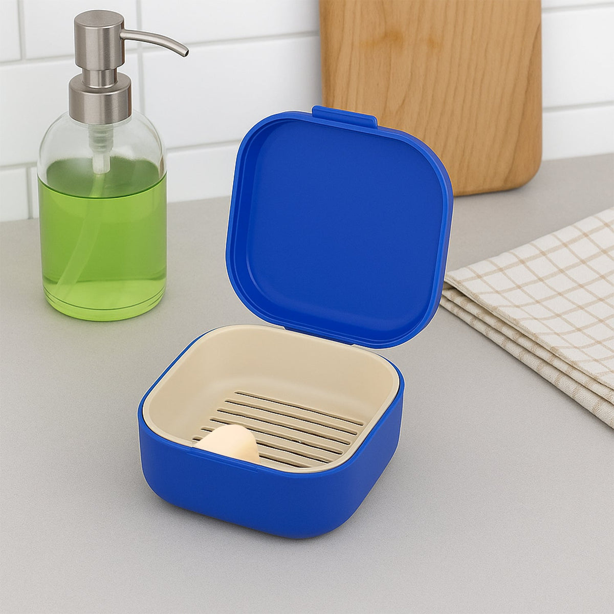 Blue Oblivion Multi-Purpose Storage Box with Lid, DENTURE CASE (1 Pc)
