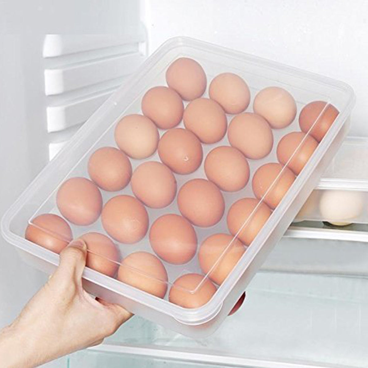 Plastic Egg 24 Grid Storage Container Holder Refrigerator Egg Tray Holds 24 (1 Pc)