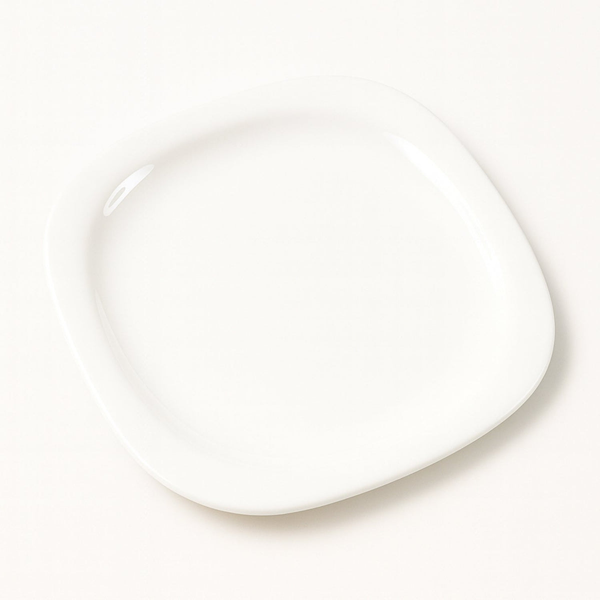 Dinner Plate