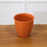 Durable Plastic Small Drinking Glass (1 Pc)