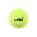 standard size tennis ball for game practice