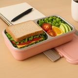 BPA-Free Snack Pack-2 Lunch Box – 2-Compartment