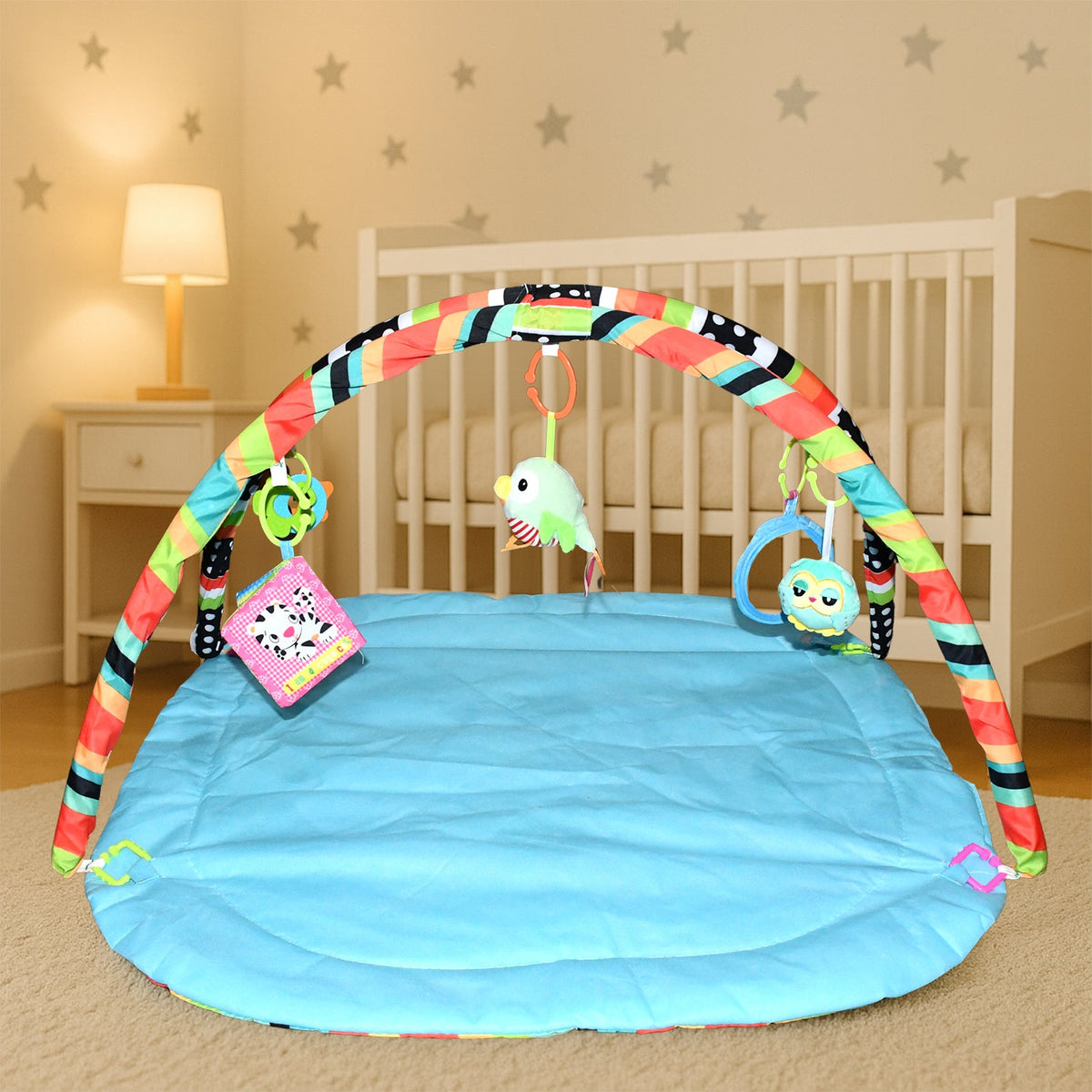 All-in-One Play Gym 