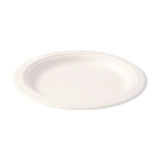 Eco-Friendly Plates