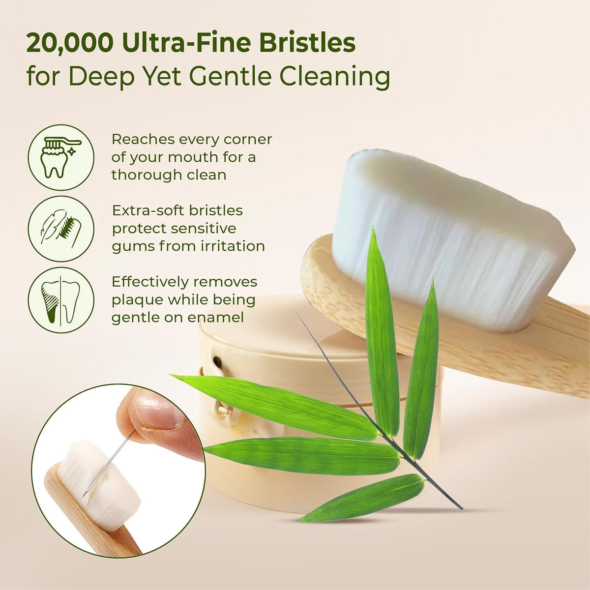 natural bamboo toothbrush set