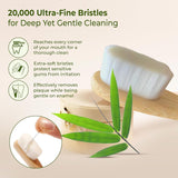 natural bamboo toothbrush set