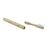 Eco Friendly Toothbrush