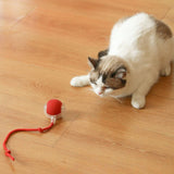 Rechargeable Interactive Cat Toy Ball with Detachable Tail and LED Light (1 Pc)