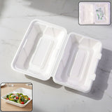 Vegnar premium bagasse clamshell food box 9x6 inch