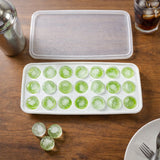 ice tray with lid