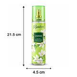 Signature Jasmine Room & Car Freshener Spray 250 ML