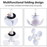 Solar Garden Decorative LED Ground Lights (2 Pc Set)
