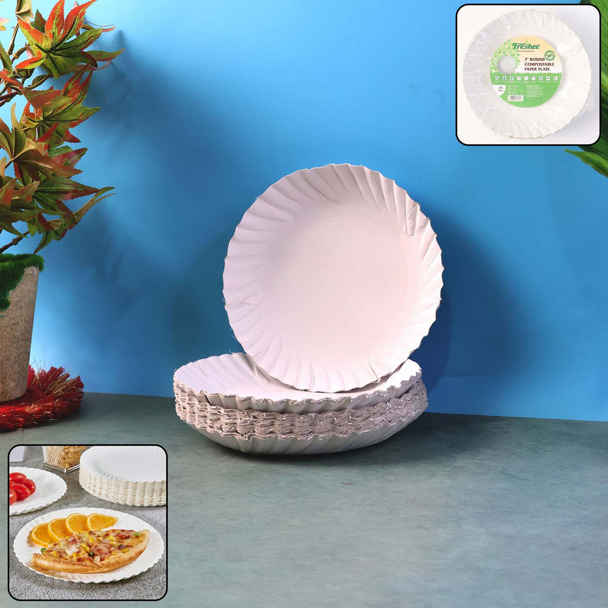 Party Paper Plates