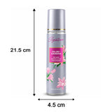 Signature Rajnigandha Room &amp; Car Freshener Spray 250 ML
