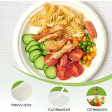 Meal Tray