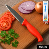 Stainless Steel Serrated Kitchen Knife (1 Pc)