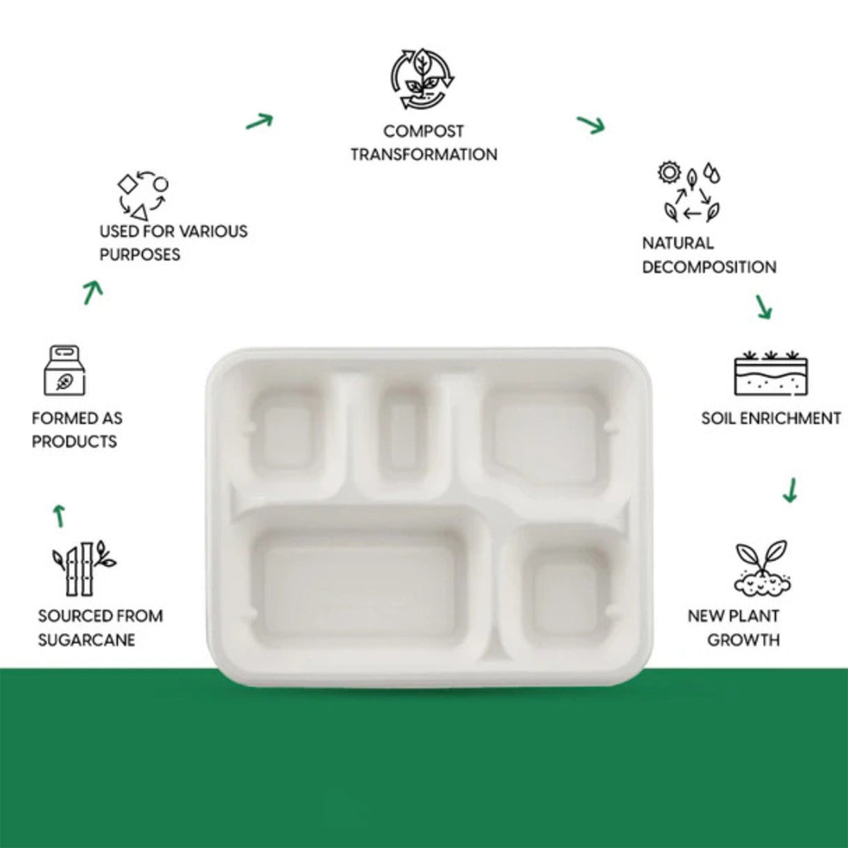 5-Compartment Rectangle Lunch Compostable Bagasse Plate – 10 Pcs Pack