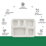 5-Compartment Rectangle Lunch Compostable Bagasse Plate – 10 Pcs Pack