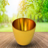 BloomNest